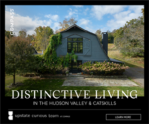Upstate Curious Met Gala ad